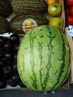 Water melon 4