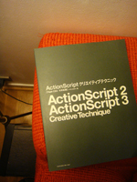 ActionScript 2,3